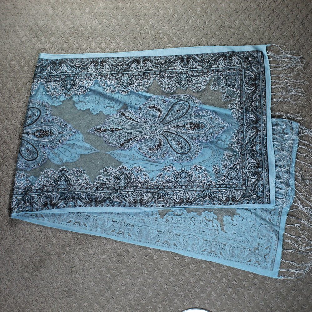 Absolutely Stunning Scarf! Sheer Light Blue & Brown Filigree with Silver Threads